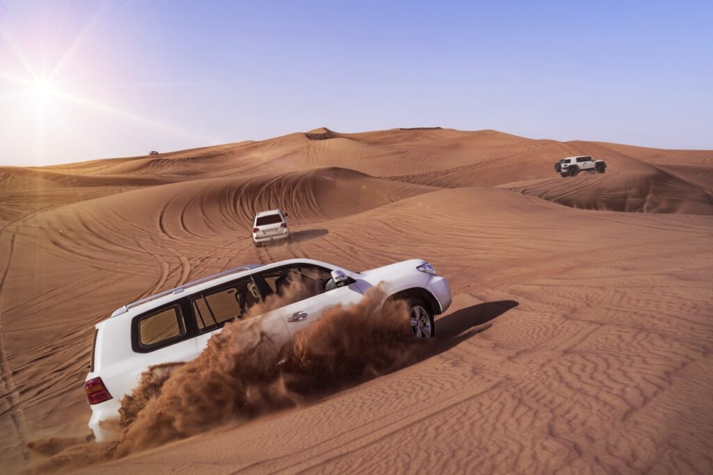 VIP morning desert safari